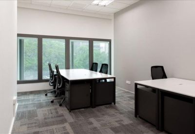 Bright four-person private office with large windows overlooking greenery.