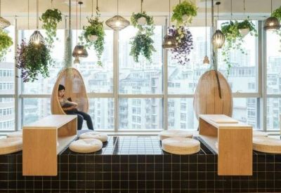 Coworking lounge featuring hanging plants and wicker swing chairs by large windows.