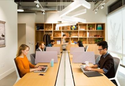 Open-plan workspace with long wooden desks, purple privacy screens, and modern linear lighting.