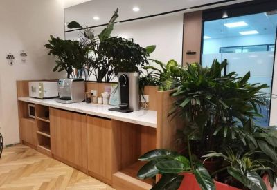 Bright breakout space featuring a coffee station, white countertops, and large potted greenery.