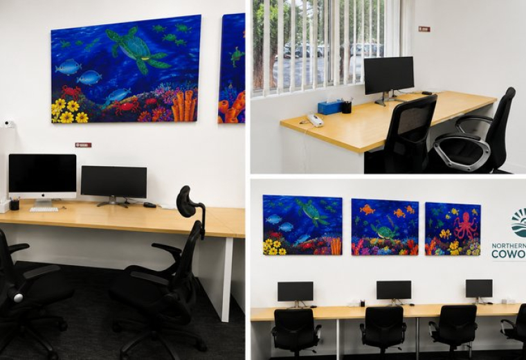 Workspace at 61, The Centre featuring colourful marine-themed wall art and multiple workstations.