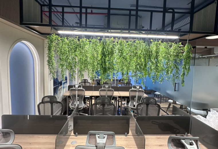 Open-plan office with wooden desks and lush artificial greenery hanging from the ceiling.