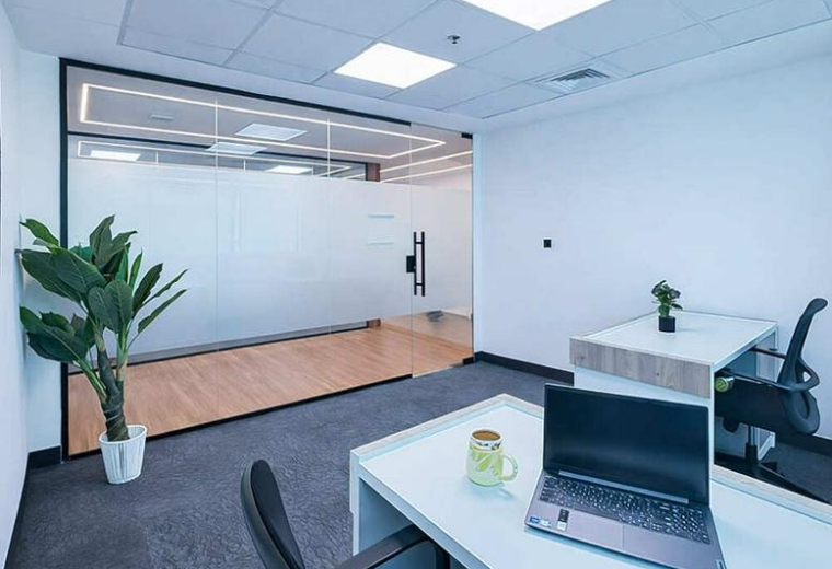 A modern private office at the Al Jazeera Tower Building featuring a glass wall and potted plant.