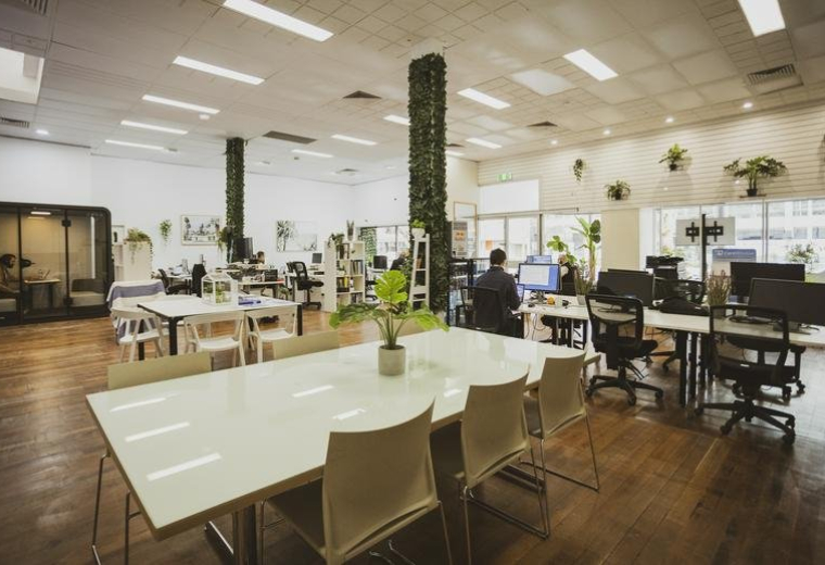 Bright open-plan office at 322 King William St, Adelaide, South Australia with greenery and communal tables.
