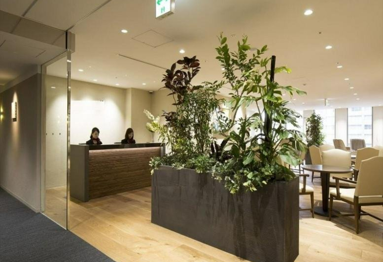 Spacious reception area of the Saiwai Building featuring a wooden desk, lush green plants, and warm lighting.