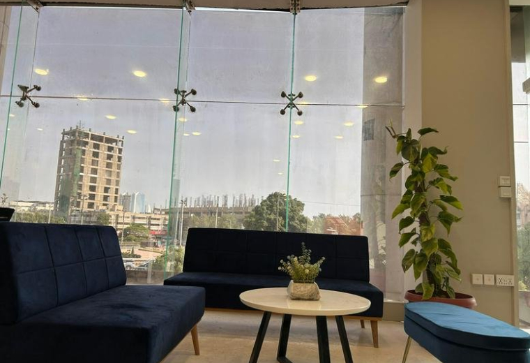 Inviting lounge area with navy blue sofas, a coffee table, and a large indoor plant.
