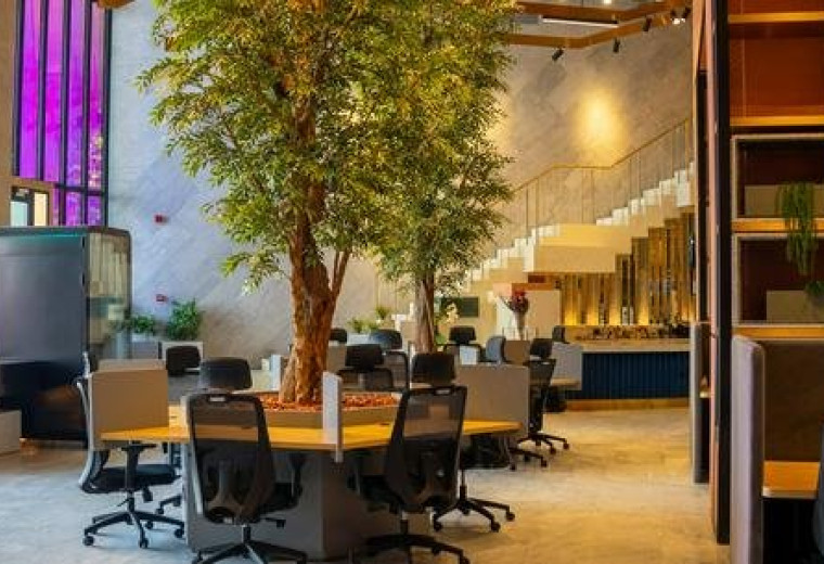 Prince Turkey Al Awaal