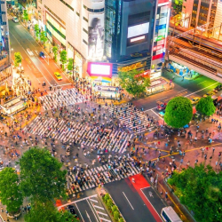 /images/uploads/profiles/__alt/Shibuya-Crossing.jpg