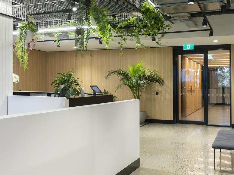 Modern lobby area at 28 Riddell Parade with white reception desk and lush hanging greenery.