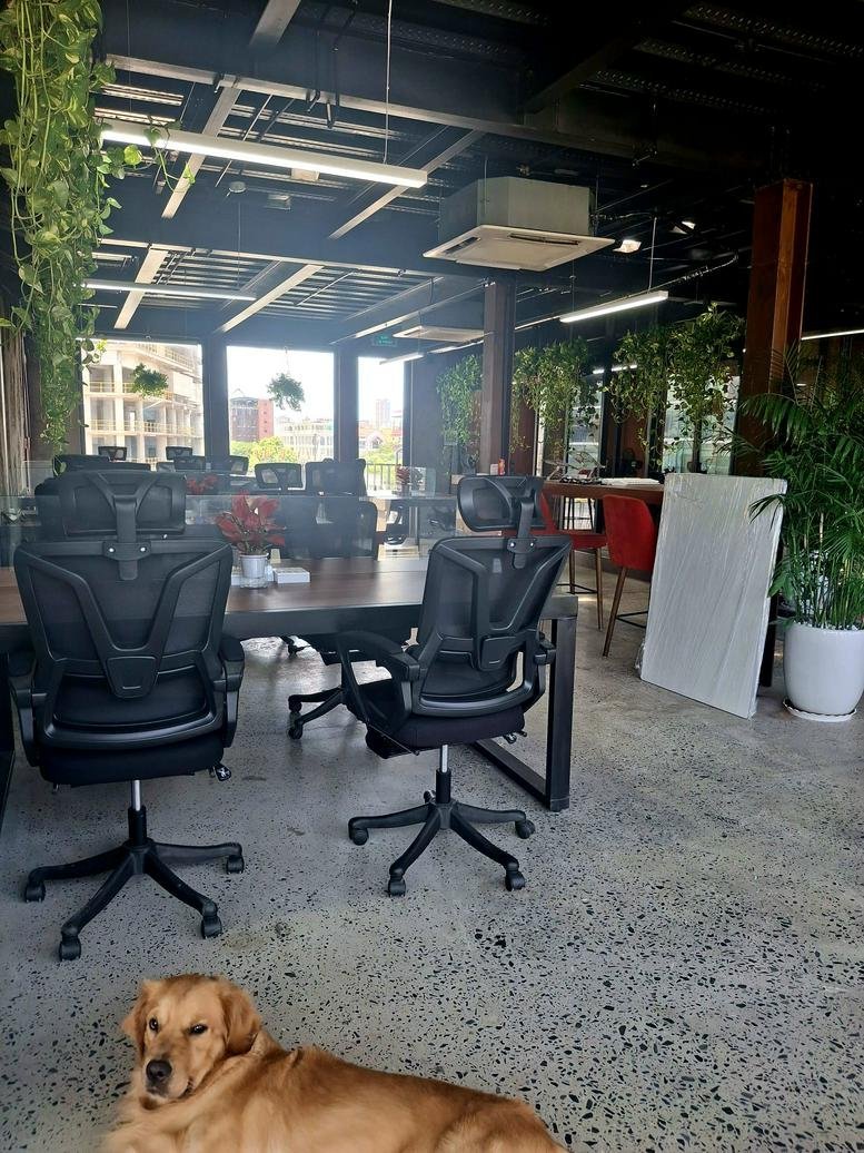 Spacious industrial coworking space at 66, Pham Thieu, 3rd Floor with plants and a dog.