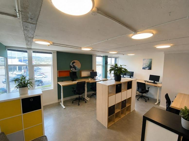 Sunlit workspace with multiple computer desks, plants, and a light wood shelving unit.
