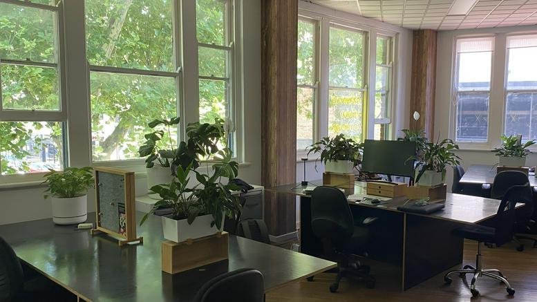 Wide-angle view of a bright office featuring several workstations and indoor plants.