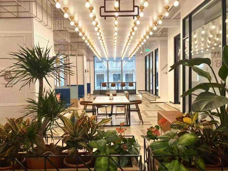 Spacious communal lounge at 686 Jiujiang Rd with warm marquee lighting and lush potted plants.