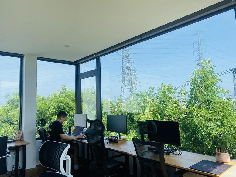 Bright open-plan office with expansive windows overlooking lush green trees at 69, Bùi Tá Hán, Da Nang.
