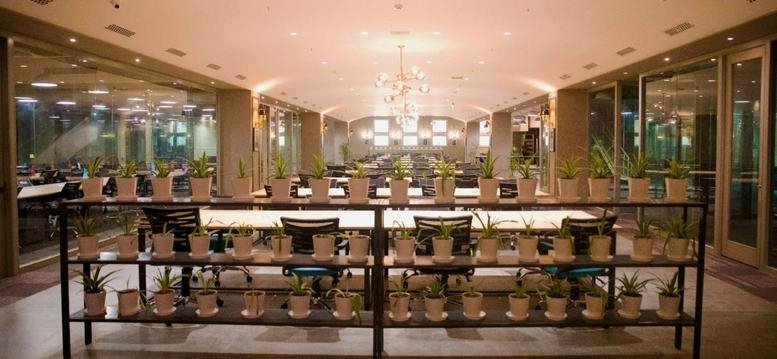 Spacious communal area at DLF Grand Mall with a long shelf of potted plants and warm chandelier lighting.