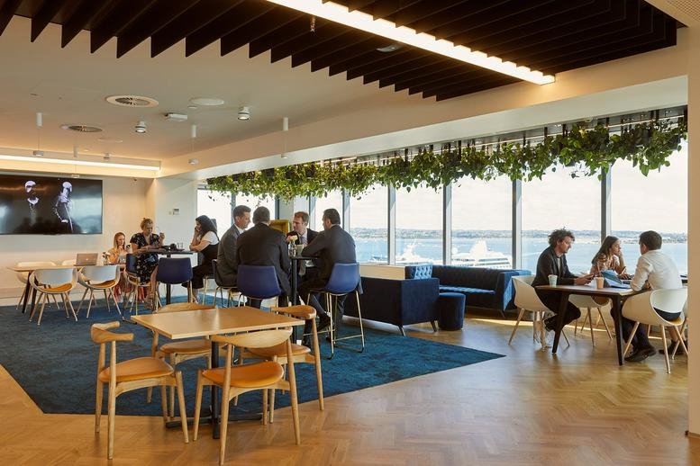 Spacious communal lounge at 11 Britomart Place with wooden tables, hanging plants, and harbor views.