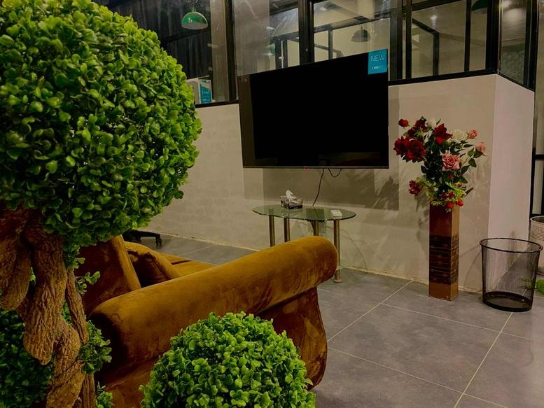 Lounge area with a velvet sofa, large TV, and decorative greenery.