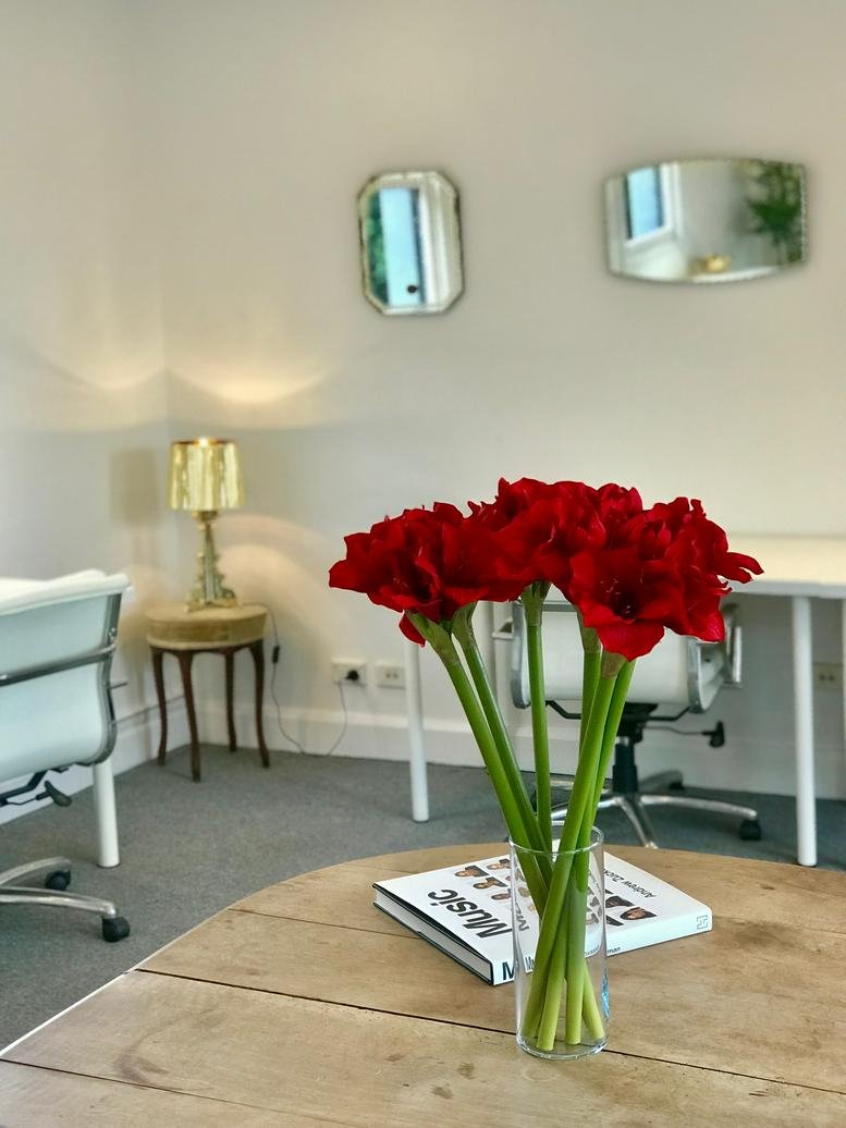 Lounge area with red amaryllis flowers on a wooden table and mirrors.