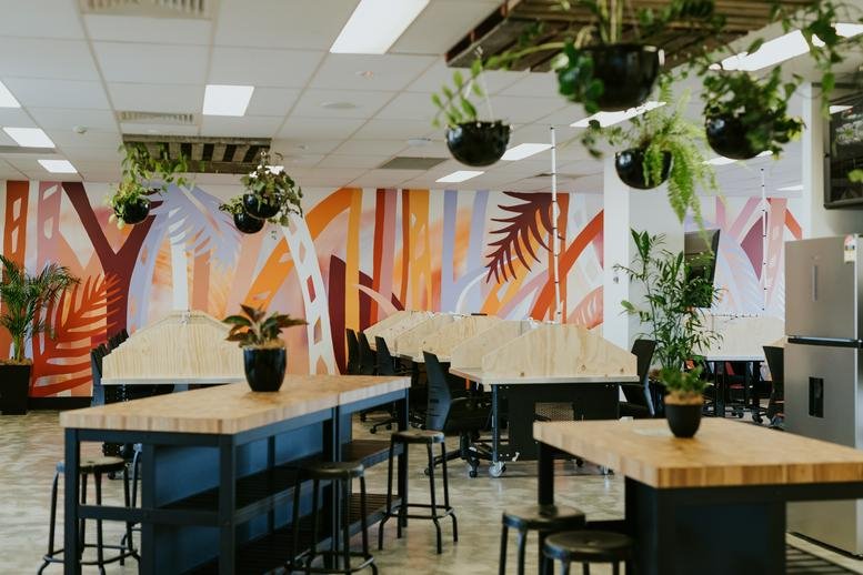 Spacious communal breakout area at 1 Tudor Street, Newcastle West featuring vibrant murals and hanging plants.