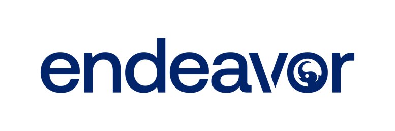 Blue Endeavor company logo on a white background.