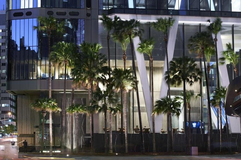 Evening exterior view of the modern skyscraper at One One Eagle Street featuring palm trees and a glass facade.