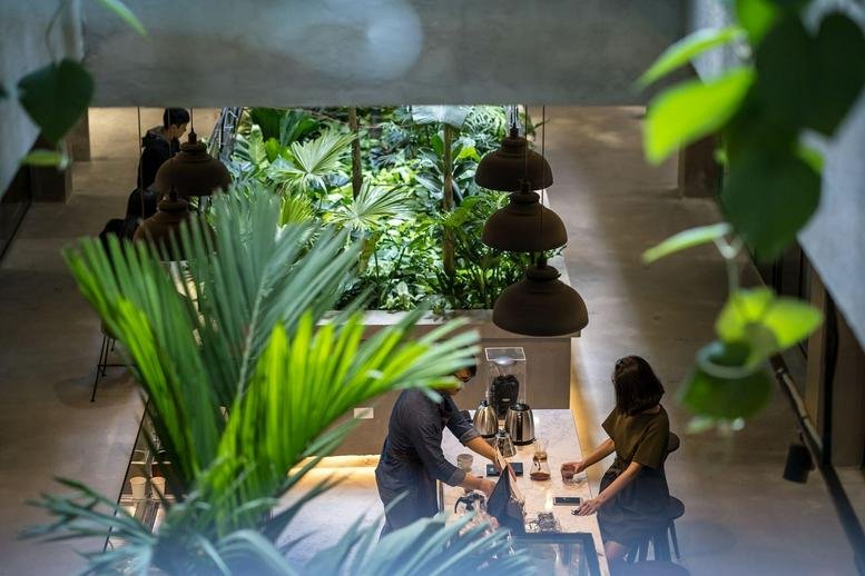 Spacious, modern communal lounge at Itaxa Building featuring lush indoor plants and a warm coffee bar area.