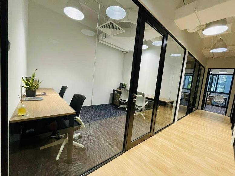 Private glass-walled office with wooden desks and potted plants at 139 Cecil Street, Singapore.