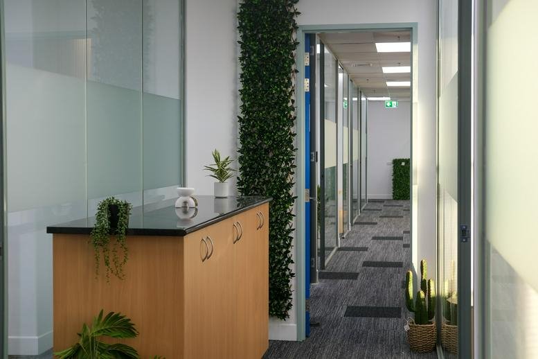 Reception area at 161 London Circuit featuring a wooden desk and lush green wall.