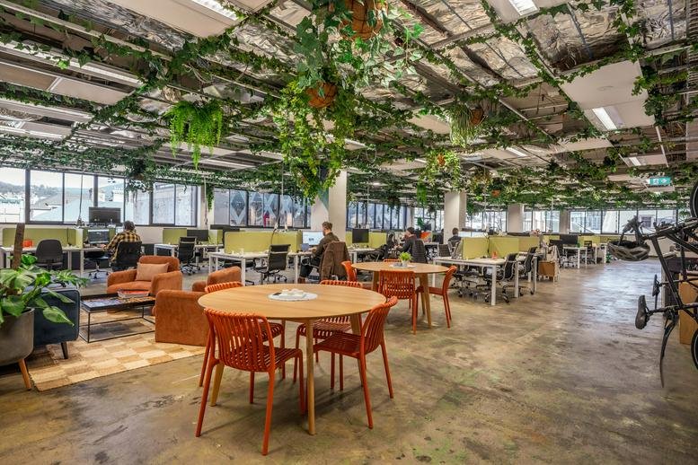 Spacious open-plan workspace at 162 Macquarie Street with lush hanging greenery and natural light.