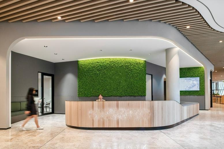 Spacious reception area at 175 Maroondah Highway with a curved timber desk and vibrant green moss feature wall.