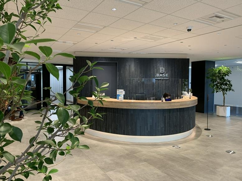 Bright reception area featuring a curved dark wood desk and lush green plants.
