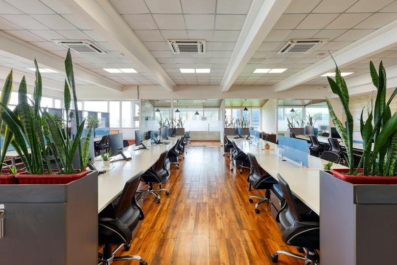 Spacious open office at 21, IT Park, Sahastradhara Road, Dehradun with wooden floors and lush indoor plants.