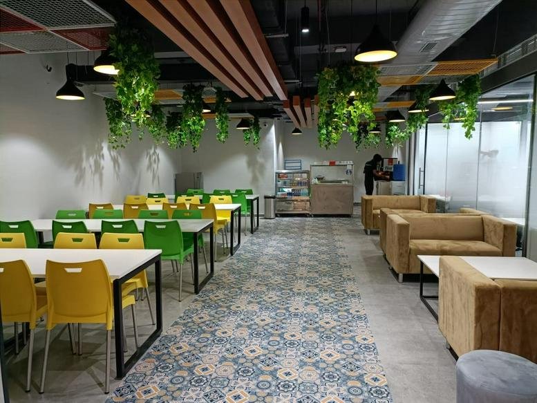 Spacious communal dining area with yellow and green chairs and hanging ivy plants.