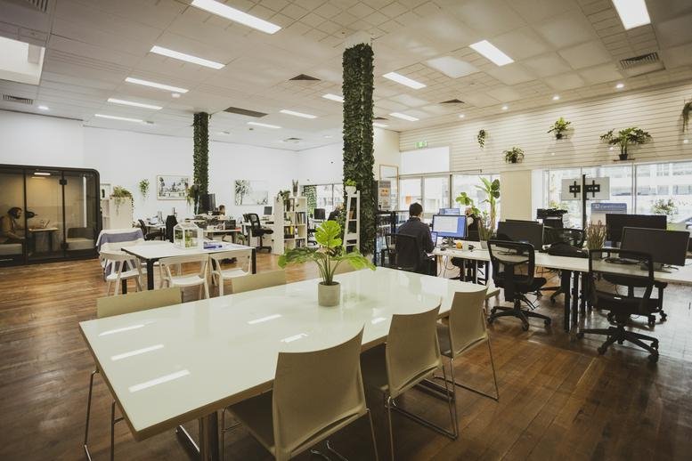 Spacious open-plan workspace at 322 King William St featuring green pillar wraps and wooden floors.