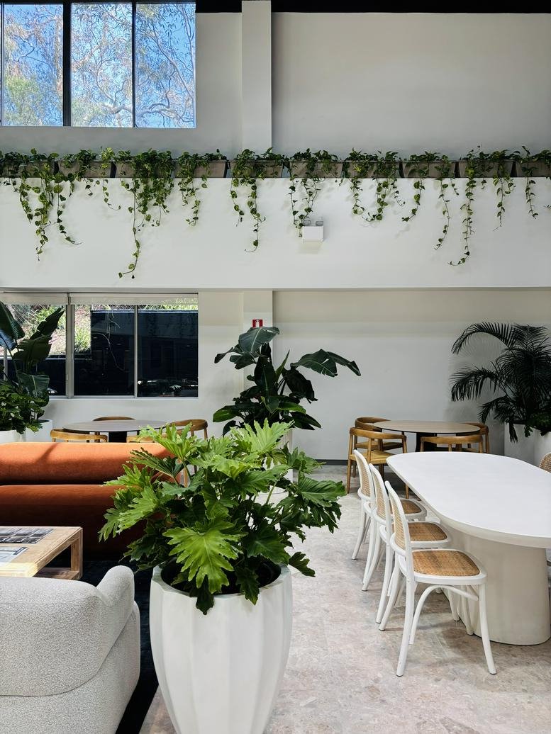 Bright breakout space with diverse seating options and trailing indoor plants.