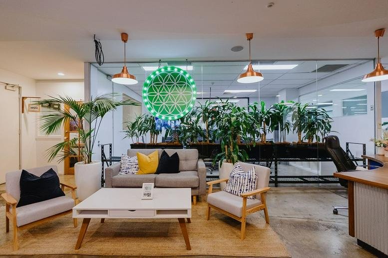 Bright reception and lounge area at 55 Pyrmont Bridge Road, Level 2 & 3 featuring plants and a green neon light.