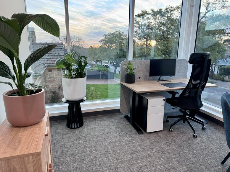 Bright workspace at 62 Queen Street with large windows overlooking trees and a potted plant.