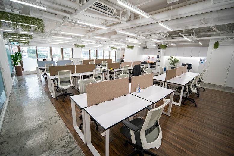 Spacious open-plan office at 5th Floor United Centre featuring white workstations, wooden floors, and hanging plants.