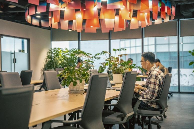 Open-plan office with long wooden tables, ergonomic chairs, and indoor plants.