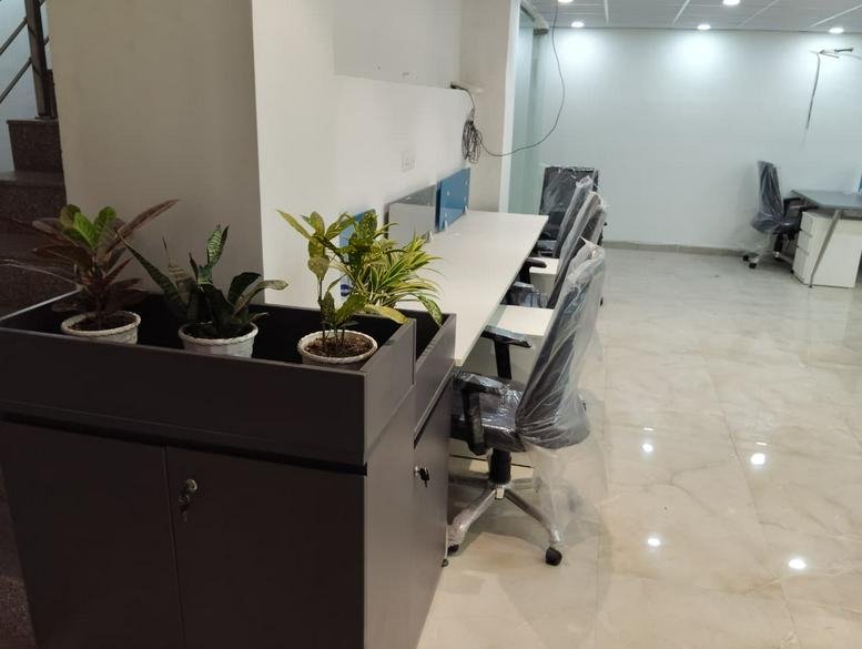 Open-plan workspace with white desks and green plants used as natural dividers.