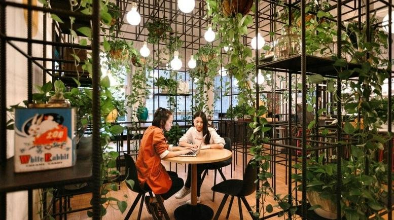 Lush indoor garden lounge with vibrant plants and a wooden cafe table at No. 19 Langfang toutiao, Xicheng, Beijing.