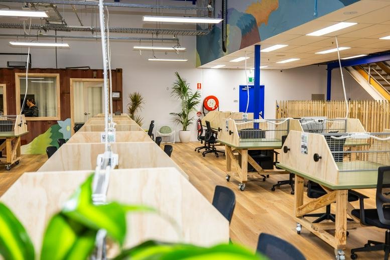 Spacious open-plan workspace with light wood desks and hanging power cables.