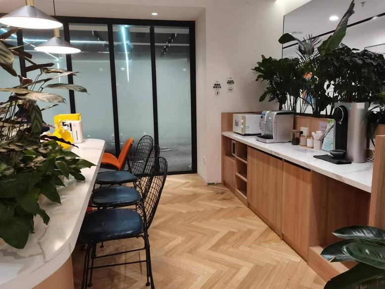 Communal kitchen area at Zhongshang Building with wooden cabinets, coffee machine, and leafy indoor plants.