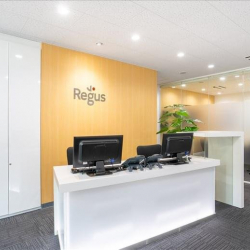 Serviced offices to lease in Okinawa