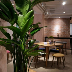Exterior image of 1 Electric Street, Shop 1A, Wanchai