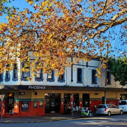 Office accomodations in central Woollahra