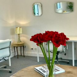Office accomodation - Woollahra