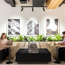 Executive offices to rent in Sydney