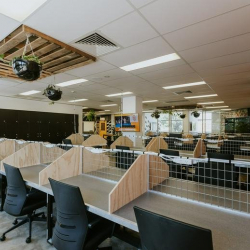 Office suite - Newcastle (New South Wales)