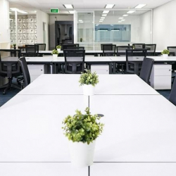 Sydney serviced office